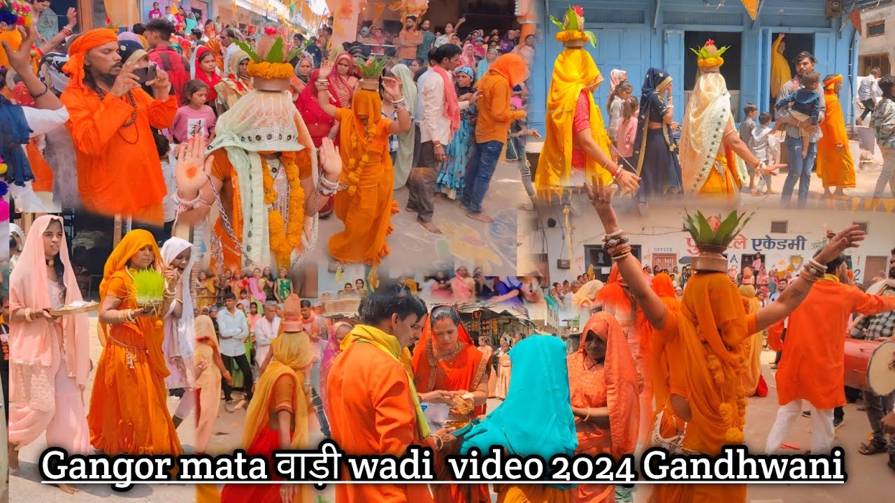 Gangor mata (वाड़ी )waadi Gandhwani video 2024 #trending #viralvideo