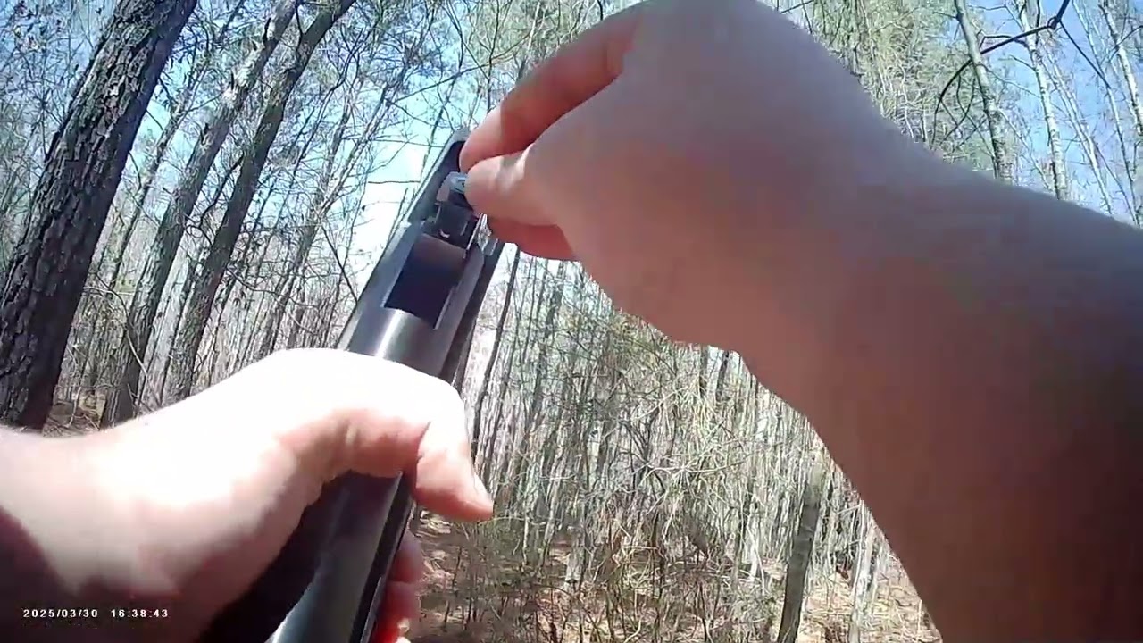 I Snuck Through the Woods Looking for Game