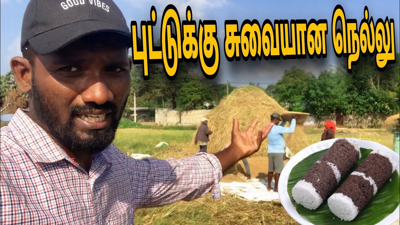 தமிழனின் பாரம்பரியம் மாறாத வட்டுக்கோட்டை |Jaffna @yarlbhanu
