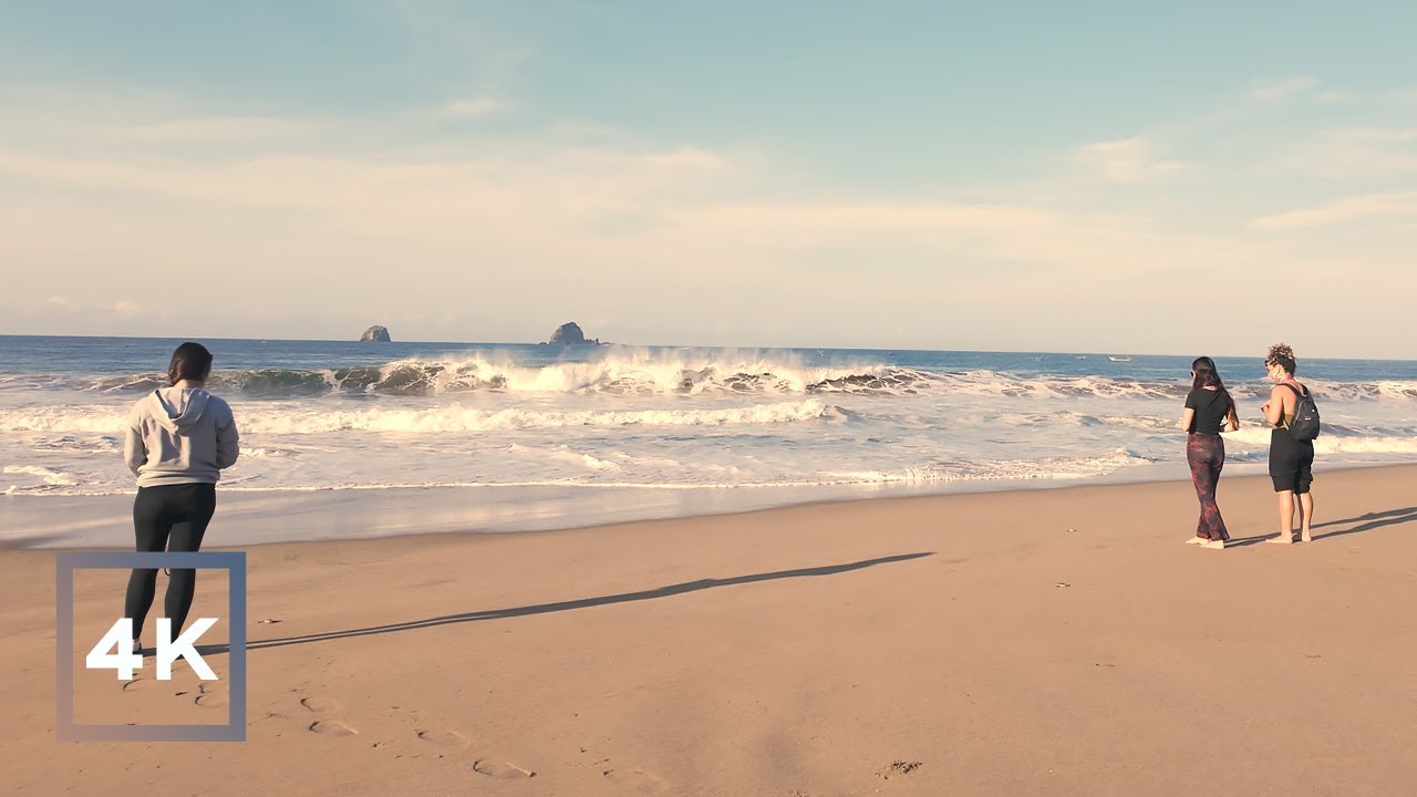 Morning Walk at Sukamade Turtle Conservation Beach – Meru Betiri, East Java | 4K Nature Ambience