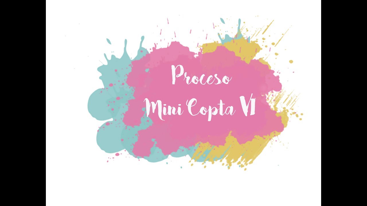 Proceso de Mini Copta VI