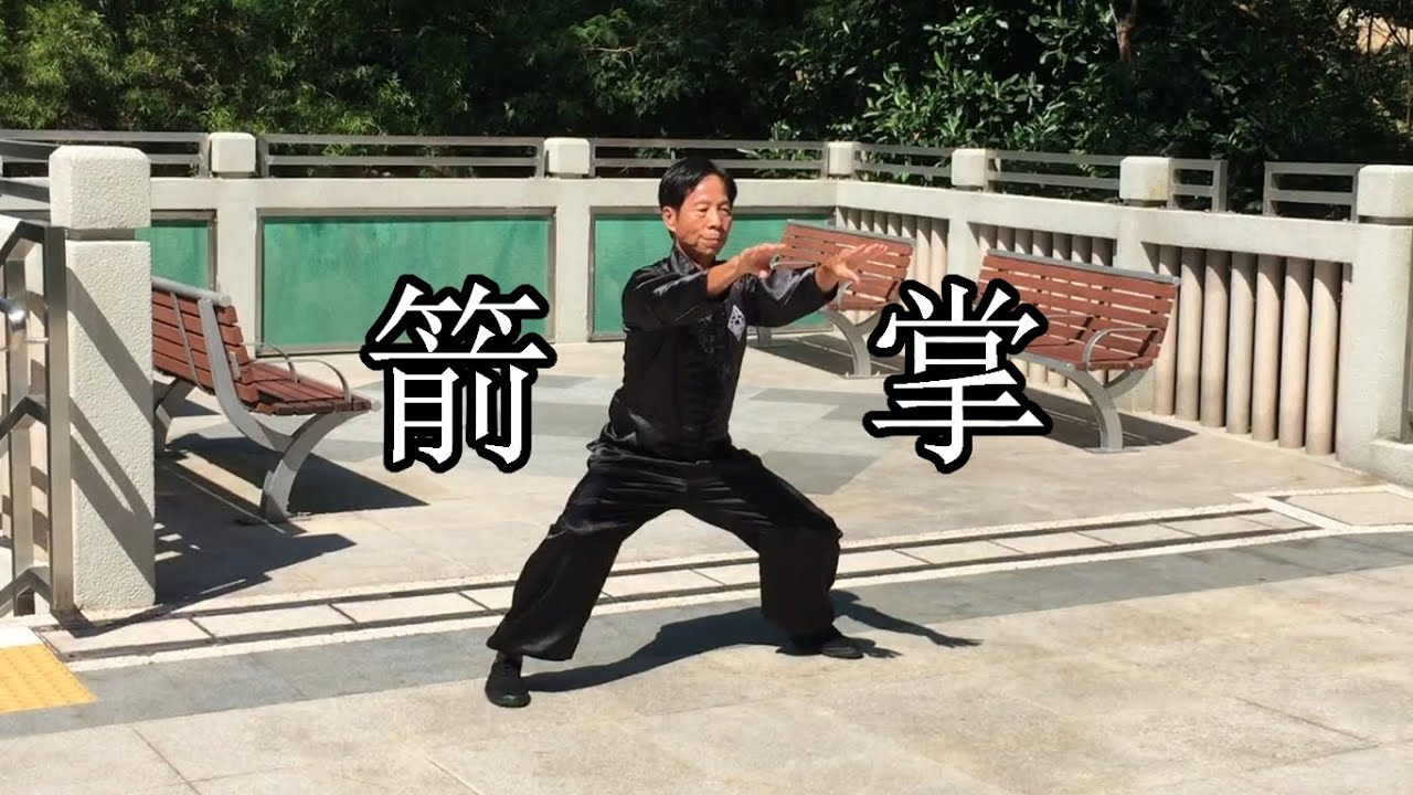 箭掌 - 嶺南洪拳虎鶴派