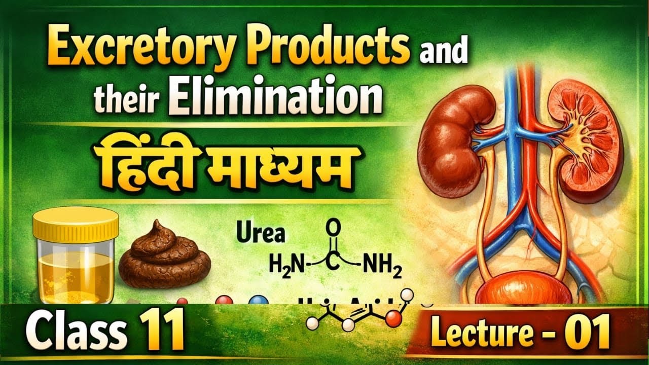 Excretory products & their elimination | Biology | Class 11 | Kidney | Nephron | Urine Formation L-1