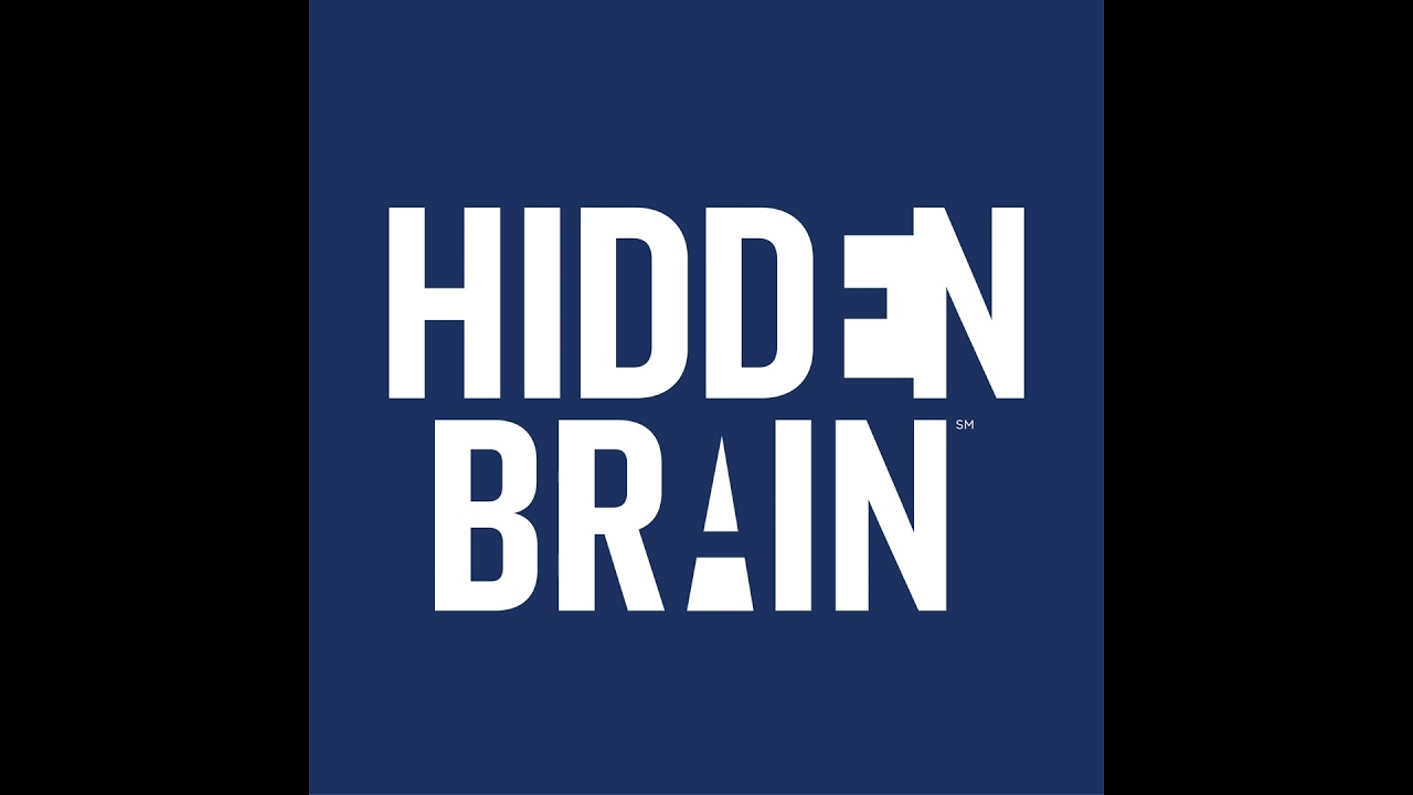 When To Pivot - with Rita McGrath by Hidden Brain