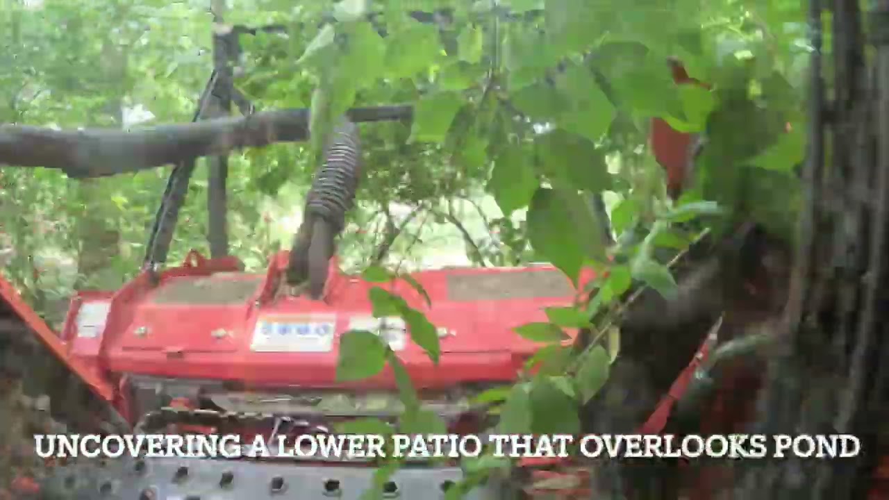Forestry Mulcher abandoned property  brush clearing Village of Indian Hill, Cincinnati, Ohio 07 12 2
