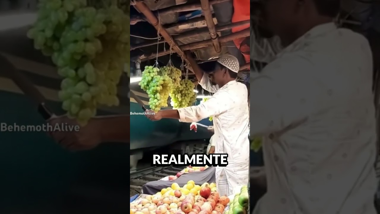 A MELHOR DEFESA &Eacute; O ATAQUE #interessante #curiosidade #curiosidades