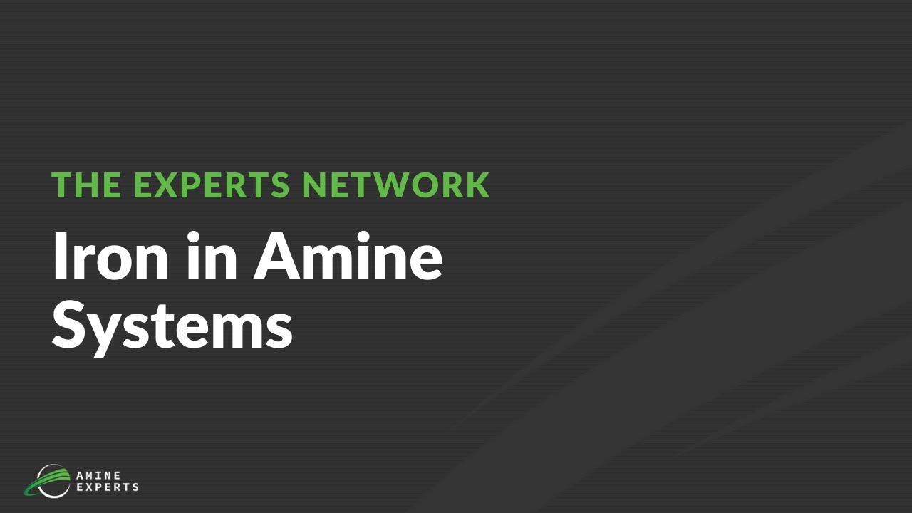 Solubility of Iron in Amine Systems