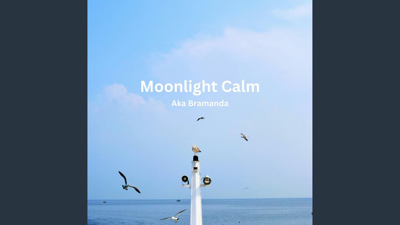 Moonlight Calm