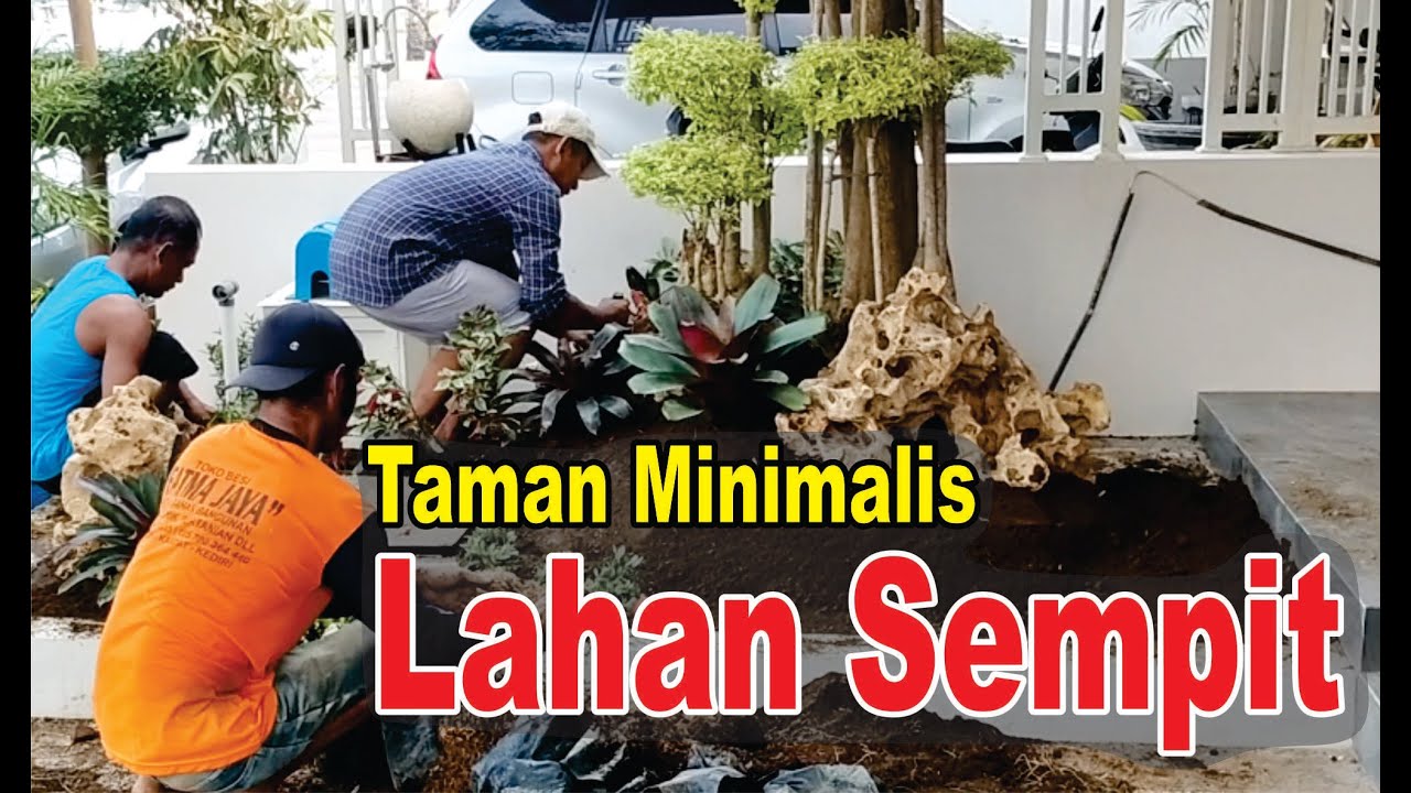 Taman Minimalis Lahan Sempit