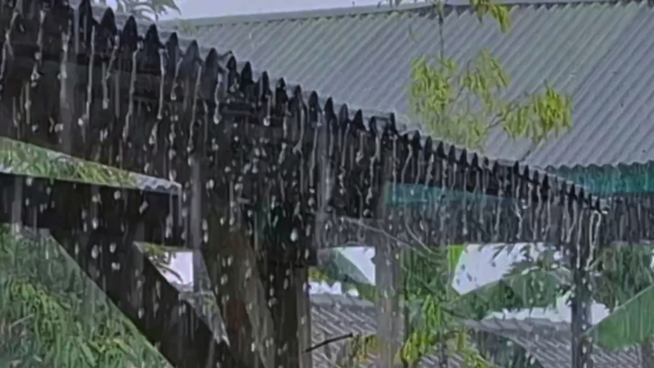 Звуки сильного дождя для глубокого сна 🌧️ 1 час непрерывного шума дождя для избавления от бессонницы