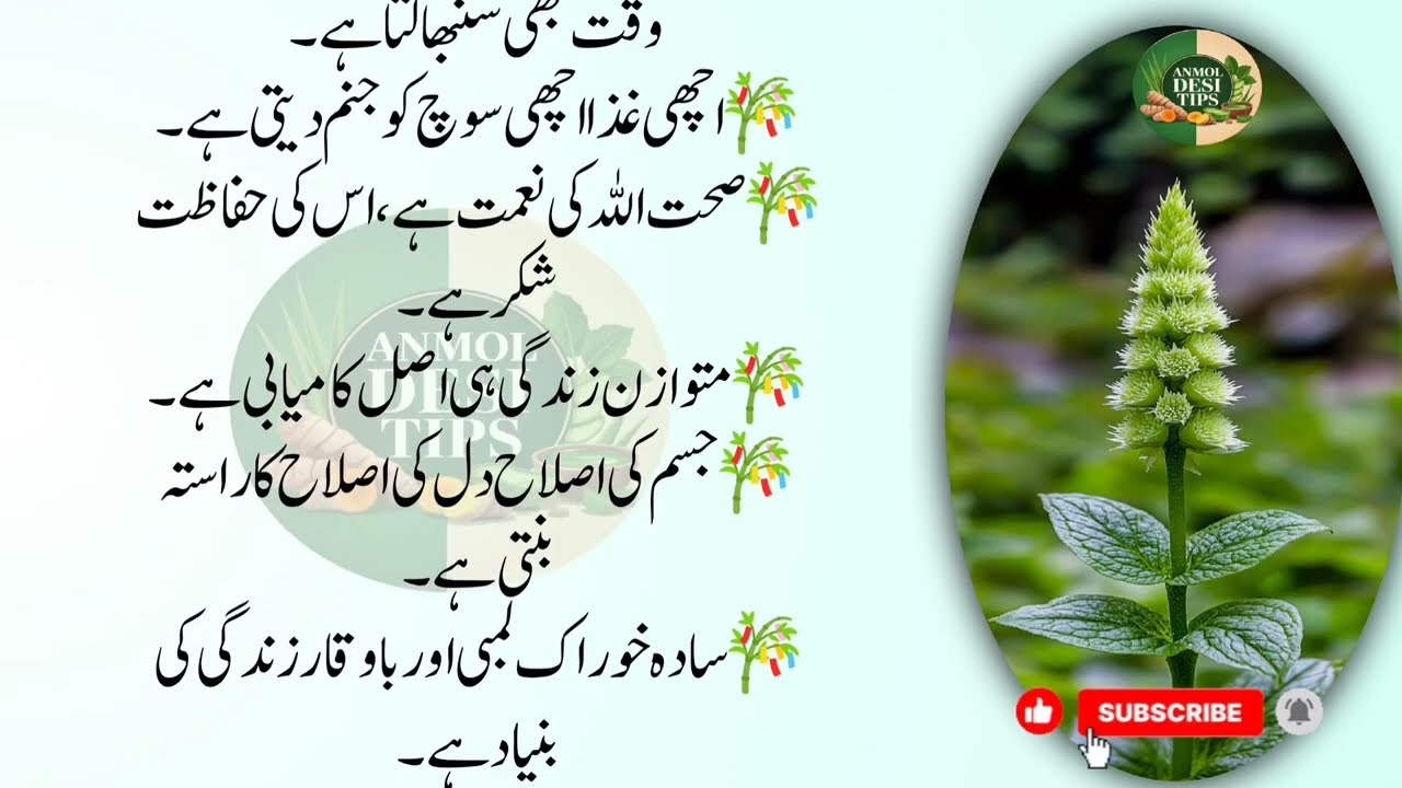 Quotes About life | Motivational Islamic Quotes | Golden Words | Rumi Quotes in Urdu | Hazrat Ali
