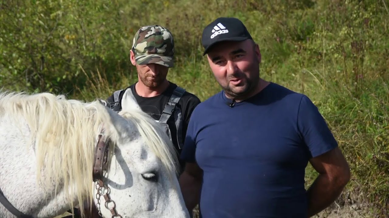 PLEMENITOST na delu - SPAS ZA KONJE