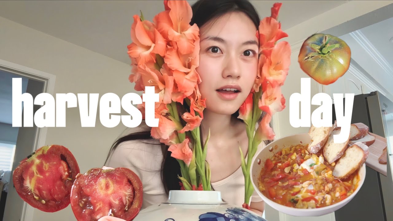 introvert first cozy vlog | homegrown, quiet cooking, little joys