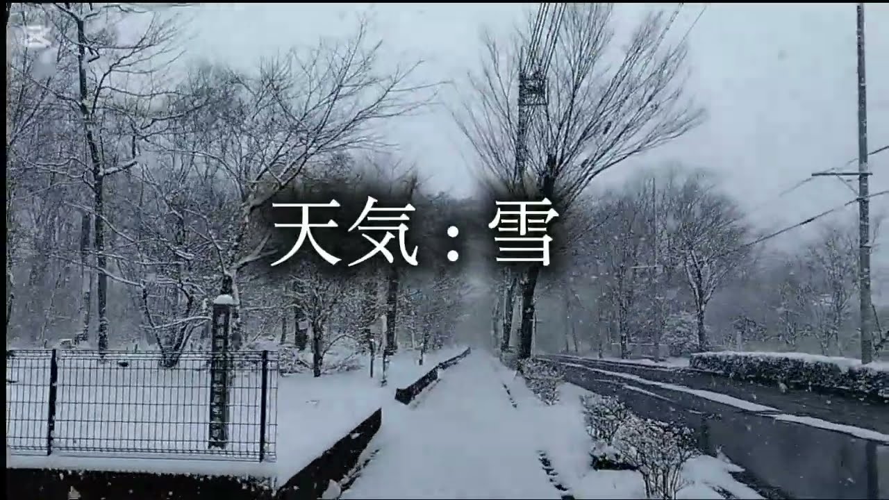 【雪の日曜日】2026.2.8 けやき通りを歩く＠清瀬市