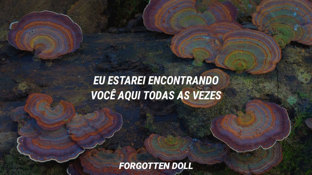 Death - Melanie Martinez [TRADUÇÃO]
