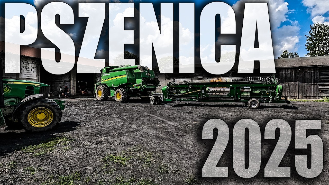 KOSIMY MOCNO WILGOTNĄ PSZENICE... | ZACZYNAMY TALERZOWAĆ | Pierwszy serwis NOWEJ ŁADOWARKI