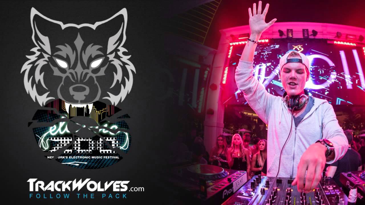 Avicii - Live @ Electric Zoo 2013 (NYC) - 30.08.2013