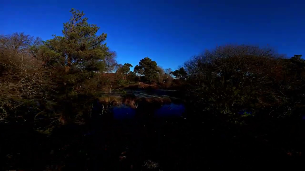 From Cinematic to Fpv Action 