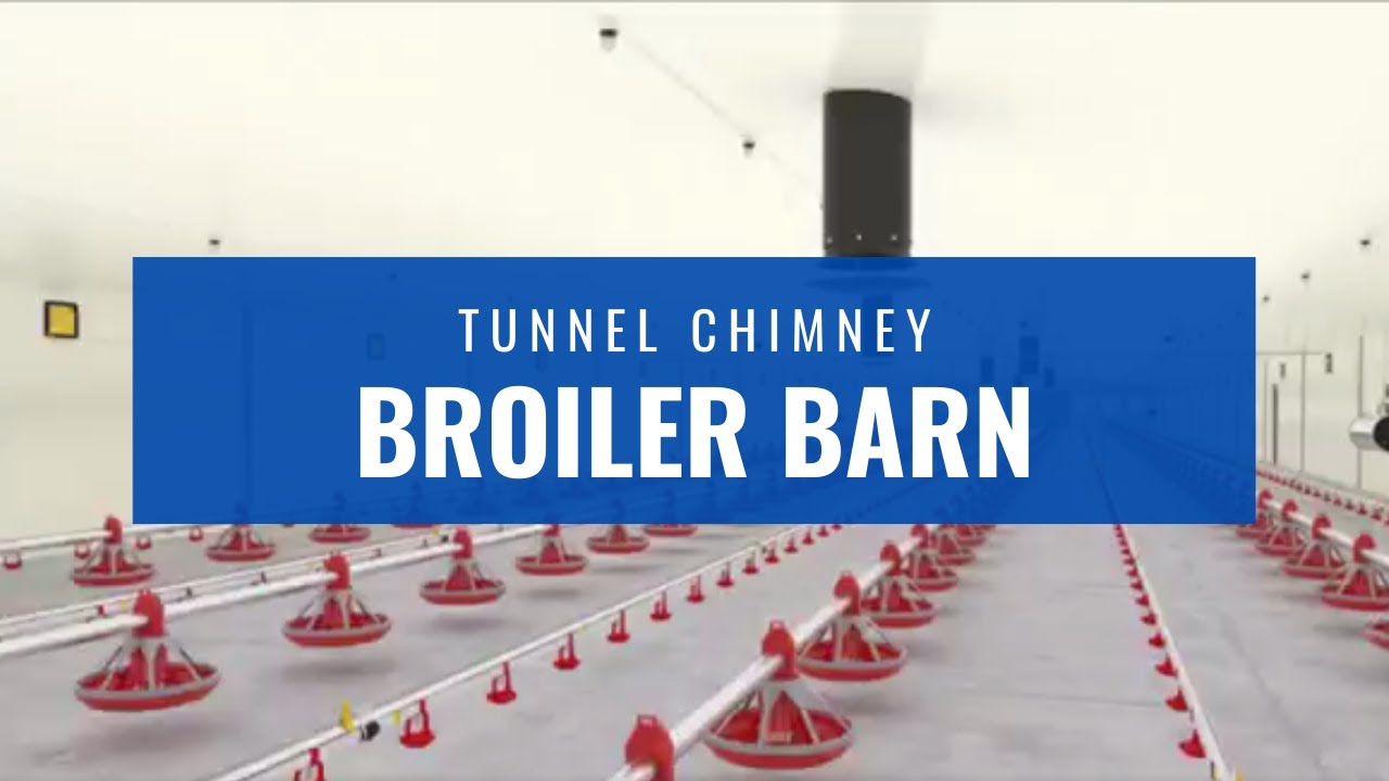 Tunnel Chimney Broiler Barn