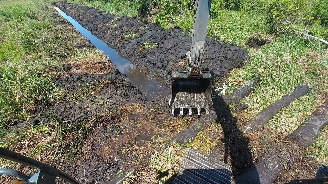 FAZENDO VALA COM ESTIVA NO BREJO Escavadeira Hidráulica op iago👷🏼‍♂️