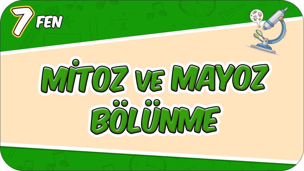 Mitoz ve Mayoz Bölünme - Konu Özeti 📗 7FEN4 #2026