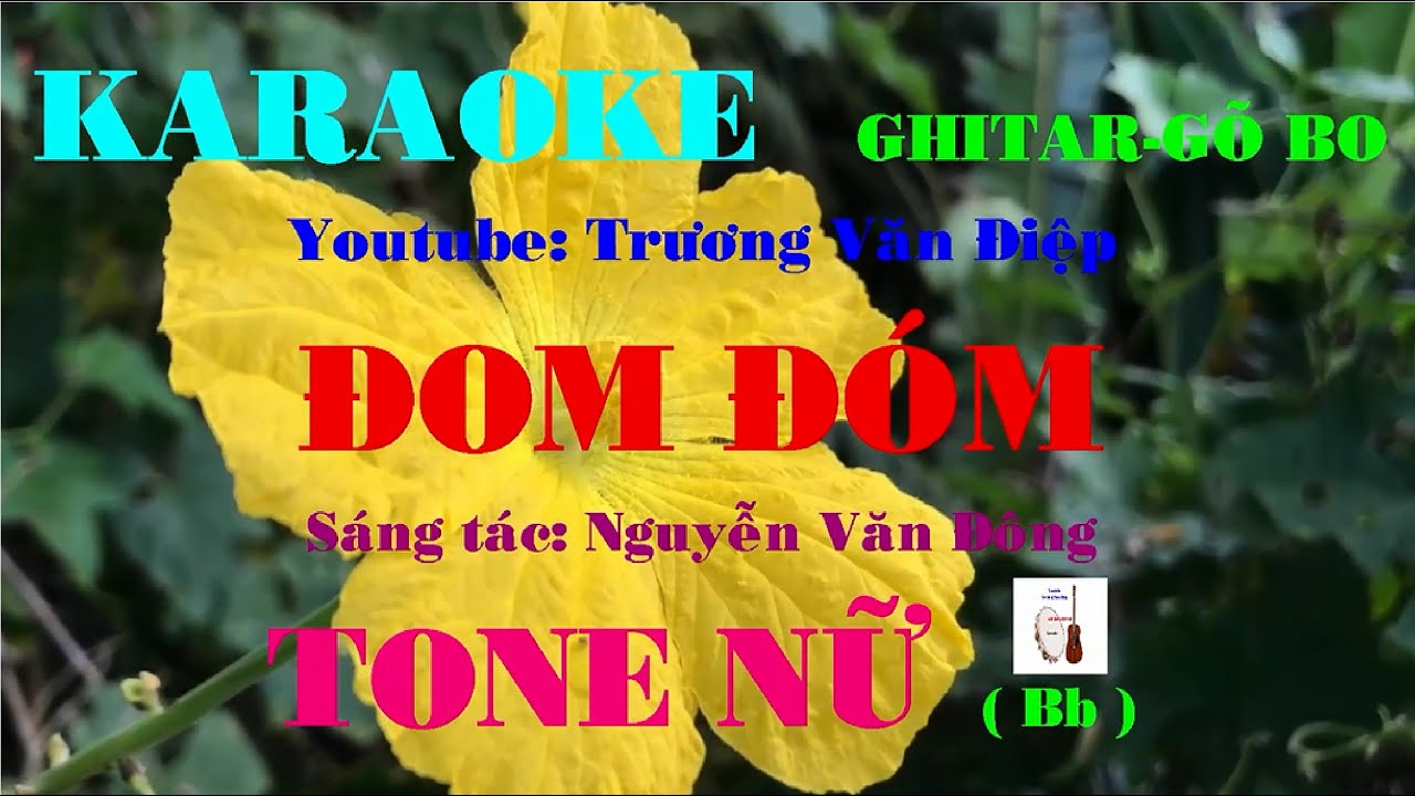 Karaoke Đom Đóm Tone Nữ Gõ Bo | Trương Văn Điệp