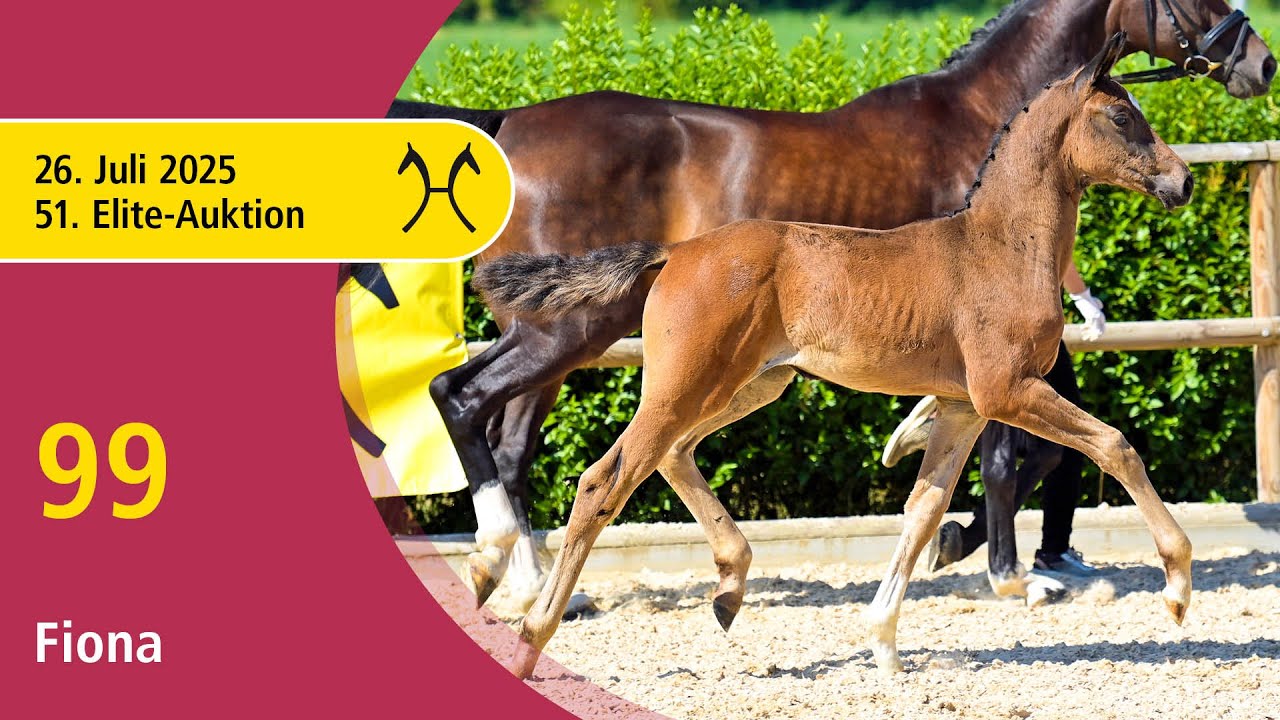 No. 99 Fiona by Fiji - Belissimo M | 51st Elite Foal Auction - OnLive – July, 26th
