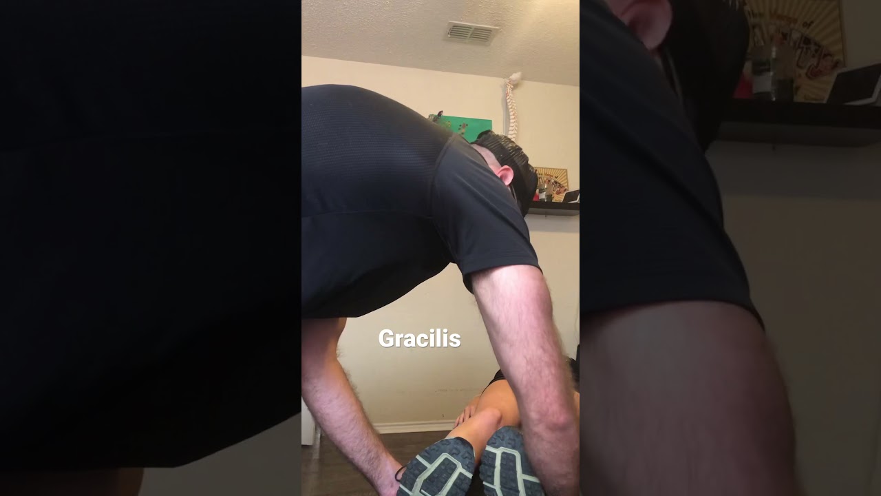 Gracilis Test