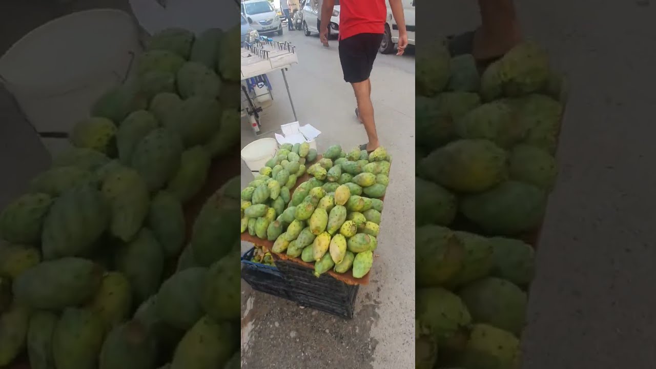 Annaba 2025  وسط مدينة عنابة  centre ville d'annaba  Algérie