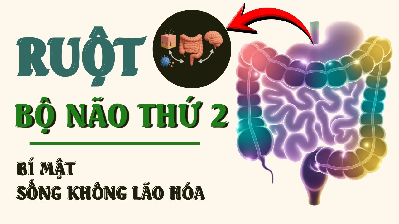 Ruột – Bộ Não Thứ Hai Và Trung Tâm Chống Lão Hóa | Emeran Mayer