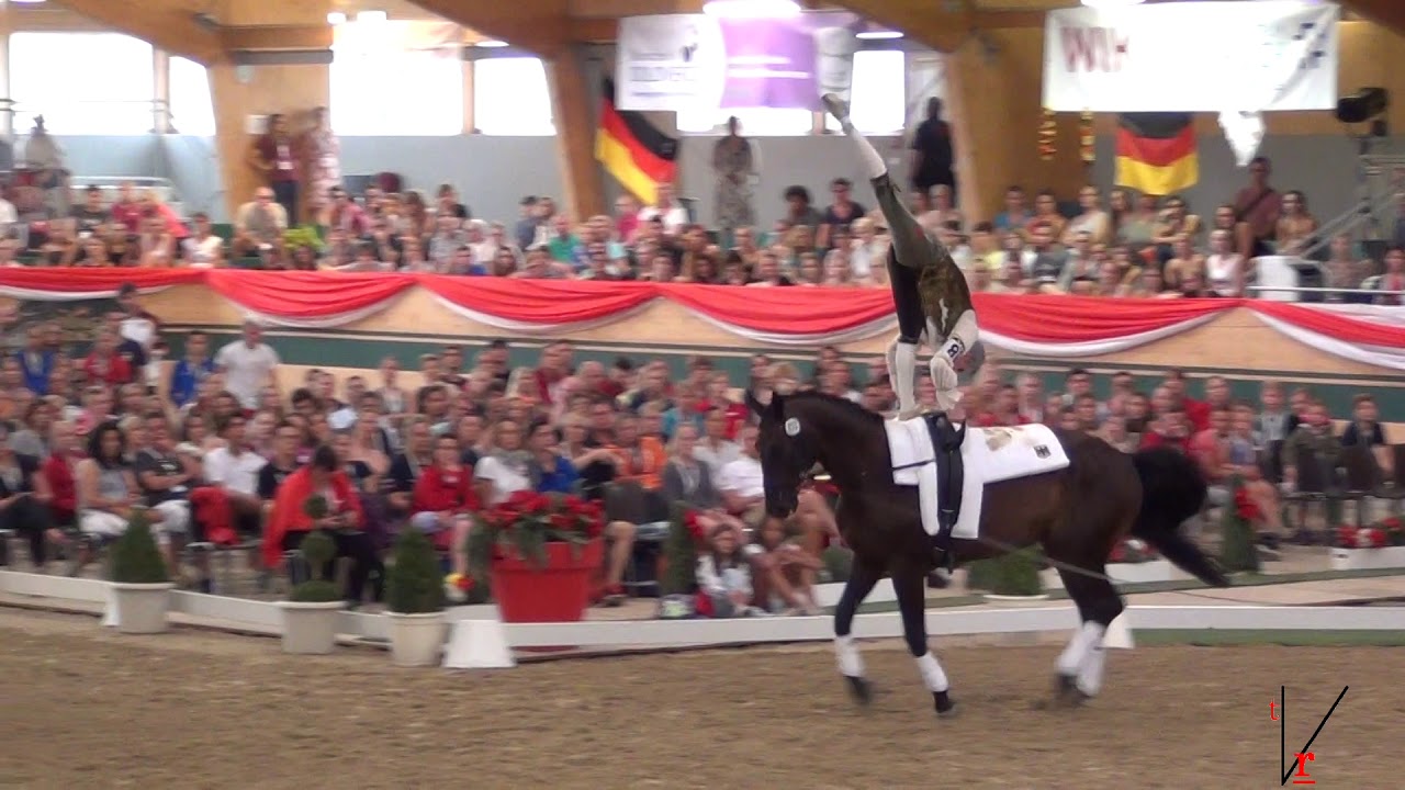 Erik Oese (GER), campione europeo senior maschile 2017, Ebreichsdorf (Austria). Volteggio Equestre