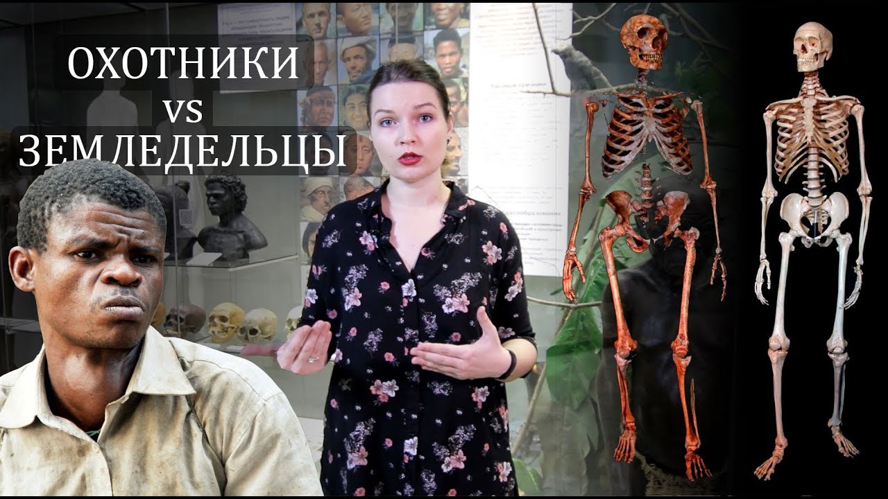 Переход от охоты к земледелию, стало ли лучше? Елена Сударикова