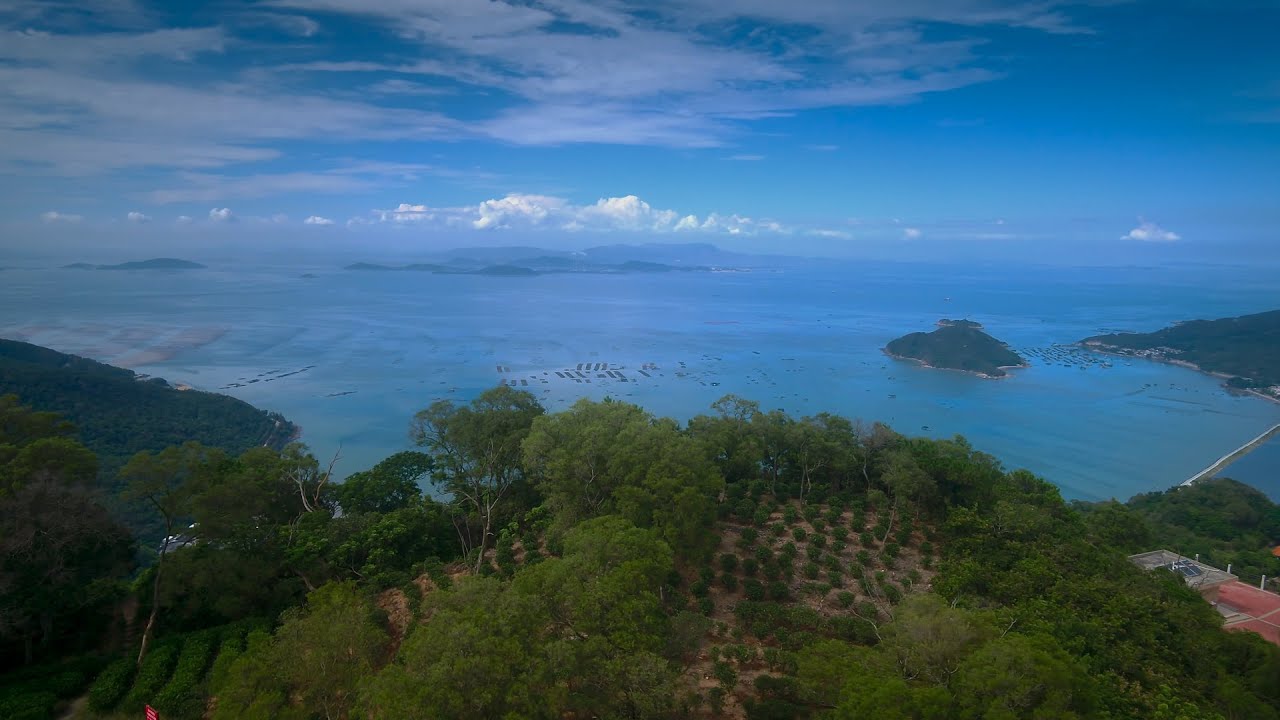 Guangdong Nan'ao Series | Episode 8: Island tea tree