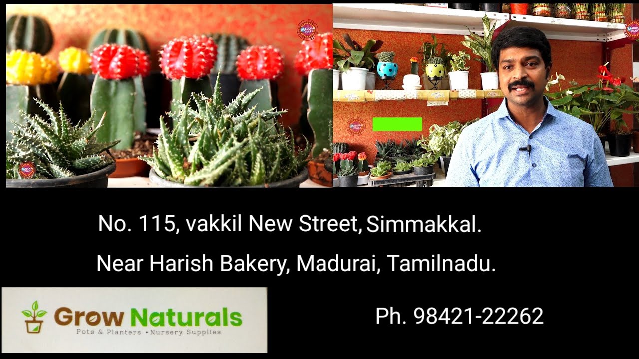 Nursery Grow Natural Garden Madurai/நர்சரி கார்டன் மதுரை// Episode -1. (Next.... 2)
