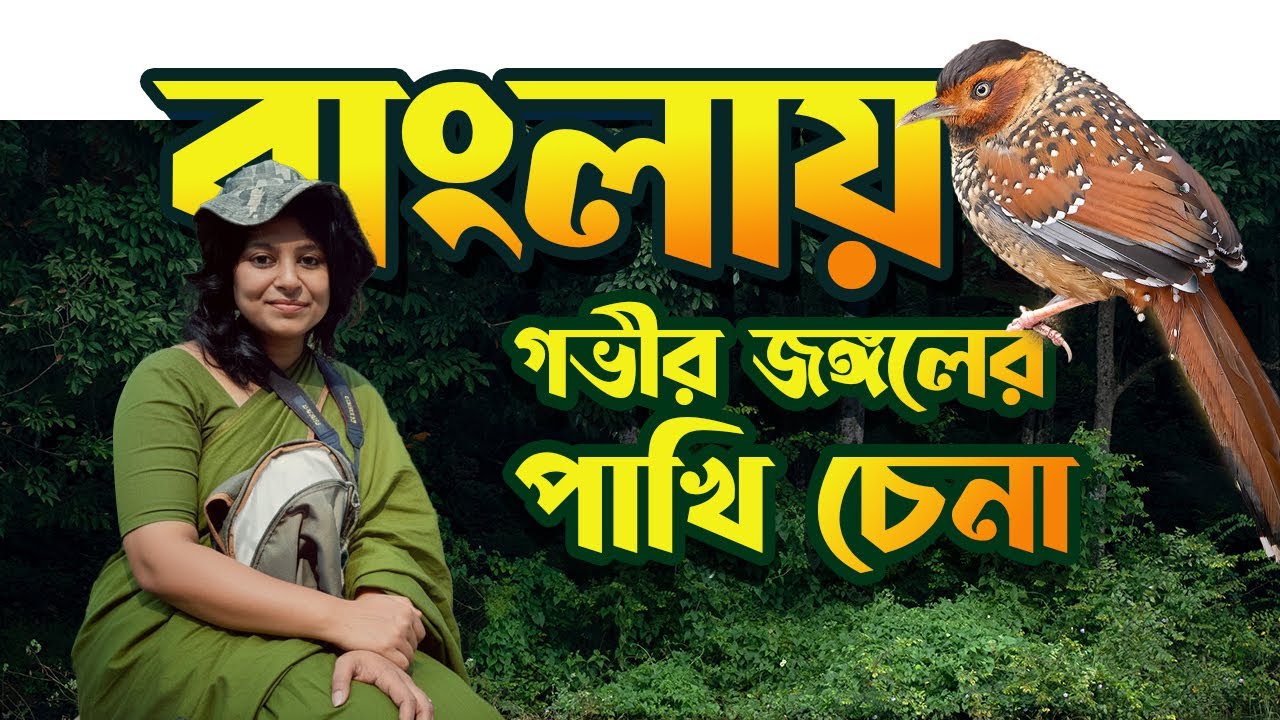 অরণ্যের পাখিদের বাংলা নাম 🦜🦉Common Bird names in Bengali & English 
