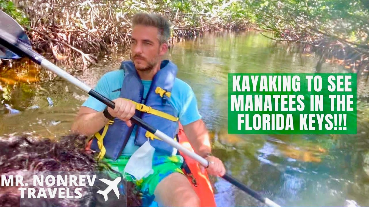 Kayaking to See Manatees in the Florida Keys!!!