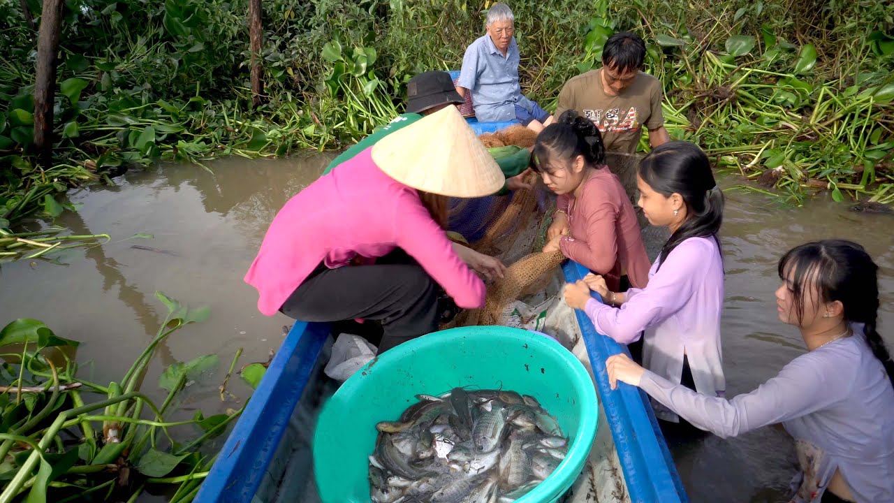 Kéo Lưới Ốp Cá Gần Chòi Mà Nhiều Thế Này Đây