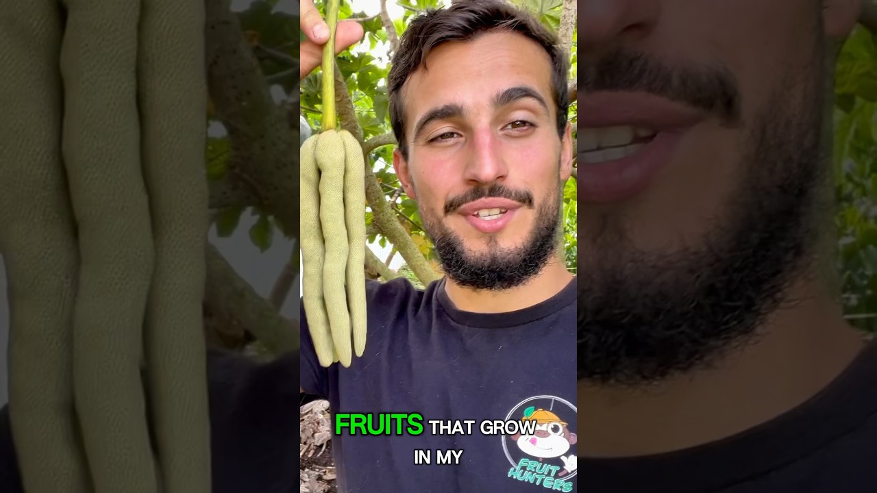 Top 5 Fruits in my backyard! 🍌👨🏽&zwj;🌾 #farming