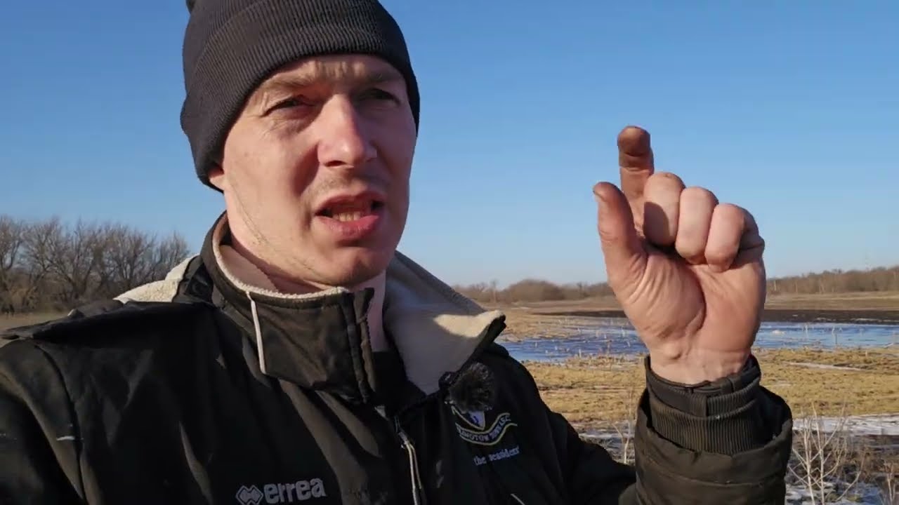 1 березня: ЯК ПРАВИЛЬНО внести азот під часник? 3 етапи підживлення без помилок