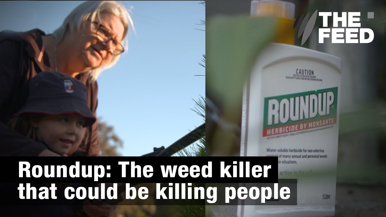 Roundup: The weedkiller that could be killing people