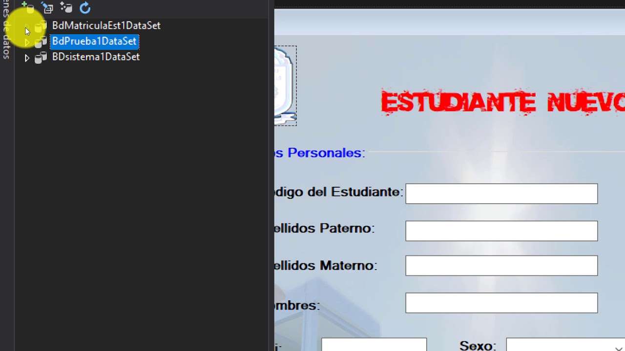 Conexión a la Base de Datos - Visual Studio con el Ms. Access