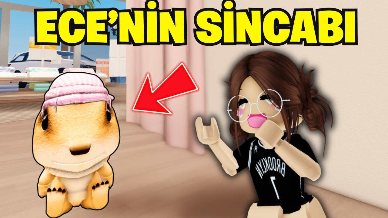 ECE'NİN SİNCABI ŞEHRİYE KAYBOLDU🥰AYŞEM ECE ARI💥ARIGİLLER🐝ROBLOX BERRY AVENUE🏡RP