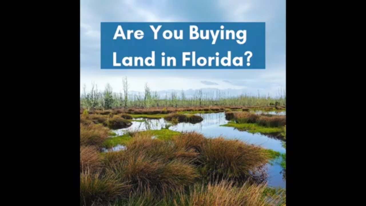 What You Need to Know About Buying Land in Florida
