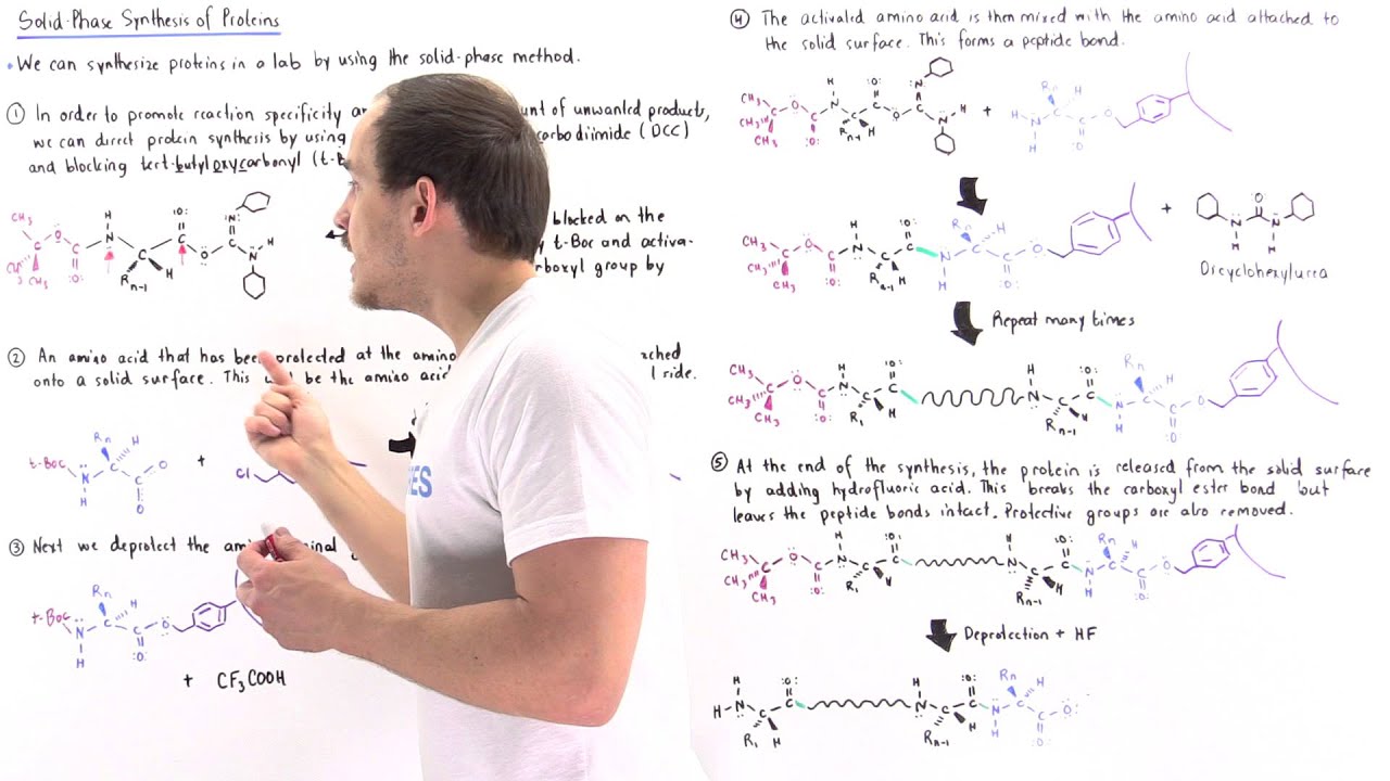 Solid-Phase Synthesis of Proteins