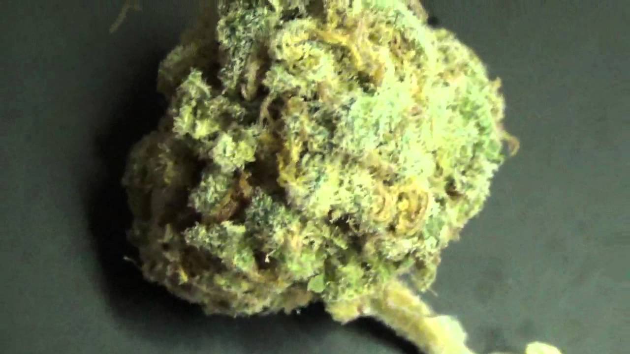 Blue Dream Vs. Sage Wreck