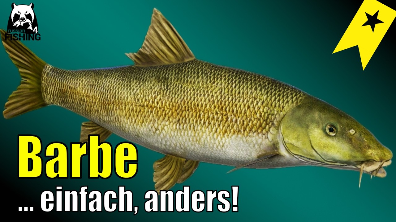 Russian Fishing 4 - Achtuba - Trophy Aralbarbe! ... einfach mal Anders #rf4 Trophy
