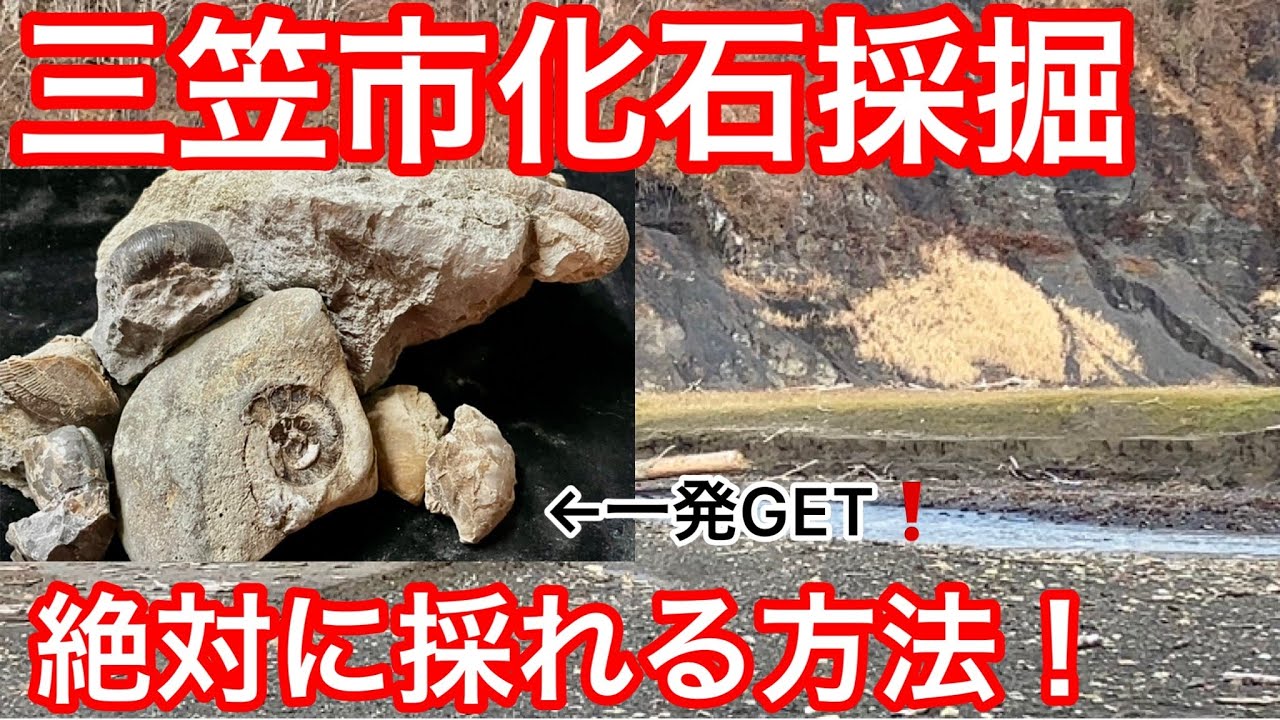 化石採取方法から化石の取り出し方、クリーニング方法を解説❗これさえ見れば化石が採れます❗　キッドマン北海道探索ch　ふっちゃま北海道心霊宅配人ch　御同行
