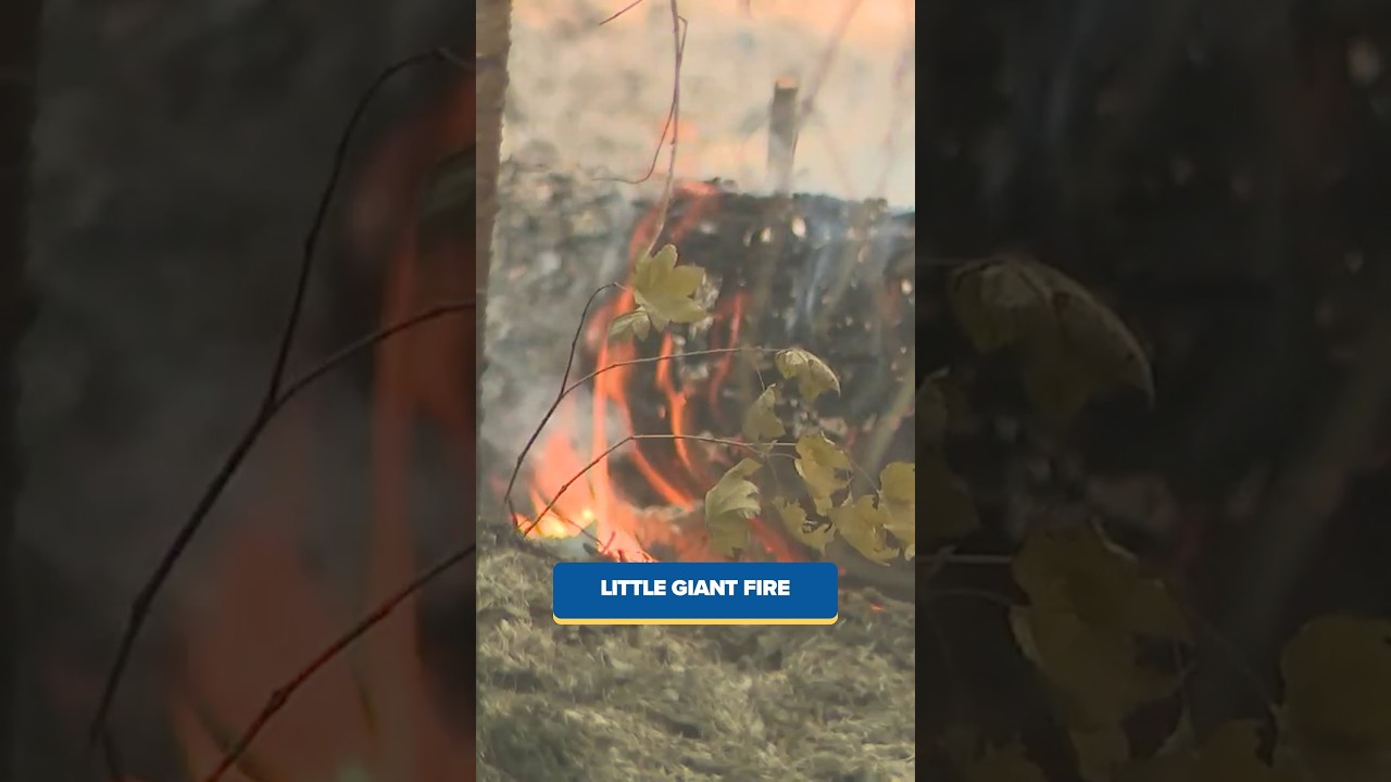 Площадь пожара Little Giant приближается к 150 000 акров