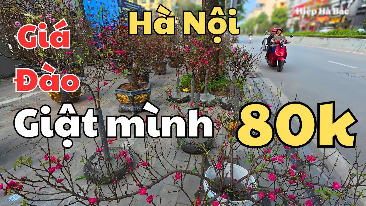Hiệp Hà Bắc | 