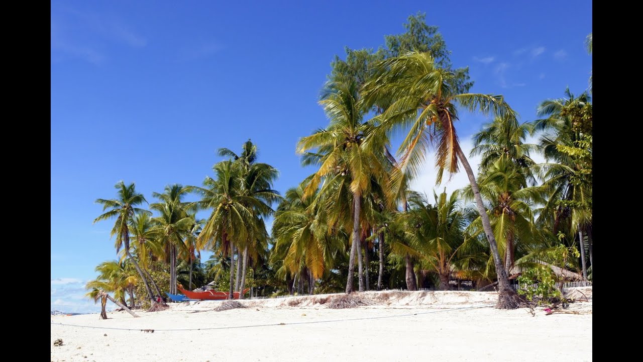 Devocean Divers Malapascua online clip